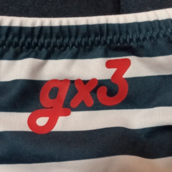 NWT GOTTZU "GX3" BIKINI BRIEF, BLUE AND WHITE STRIPES, ASIAN SIZE "XL" (32"-33") - Picture 5 of 6